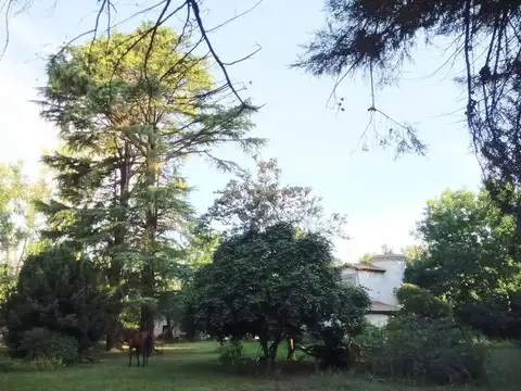 Mariano Necochea e/ Arias y Roca