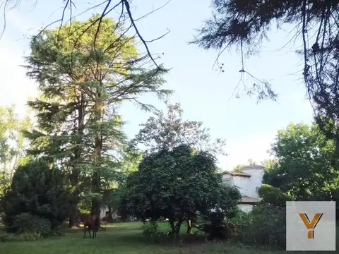 Mariano Necochea e/ Arias y Roca