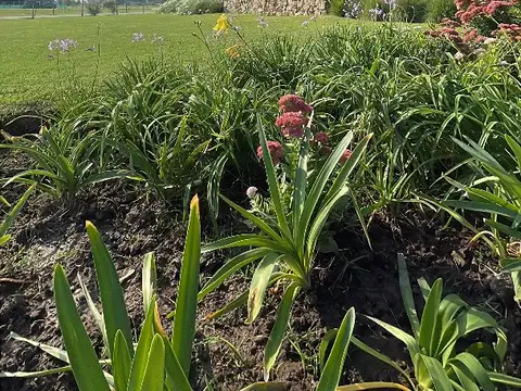 LA FINCA COUNTRY CLUB