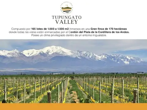 Ruta Provincial 88