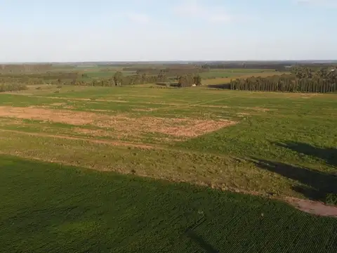 26 HAS AGRICOLAS GOBERNADOR CASTRO