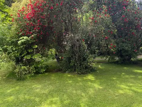Casa en Venta en Zelaya, USD 550.000