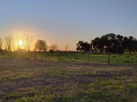 Terreno en Venta 40  mts Fondo