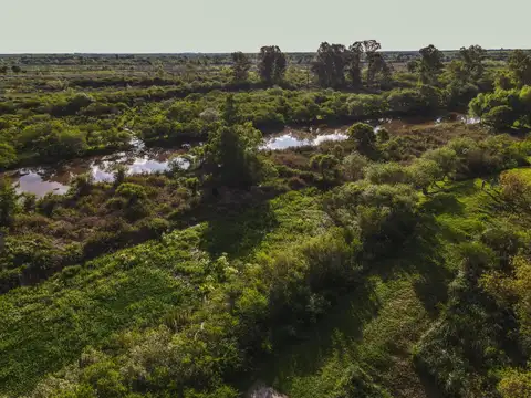 Terreno en Venta en Villa Paranacito, USD 42.500