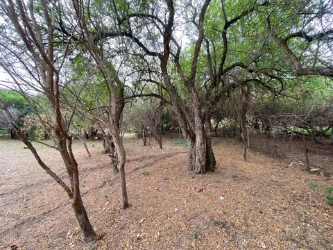 Terreno en Venta de 541,0 m2