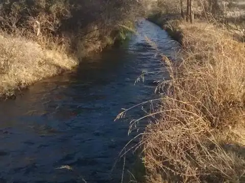 Modesto Encinas S/N