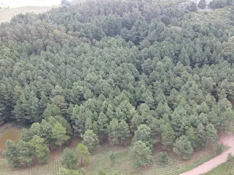 Ruta 12 y 2000 metros de camino