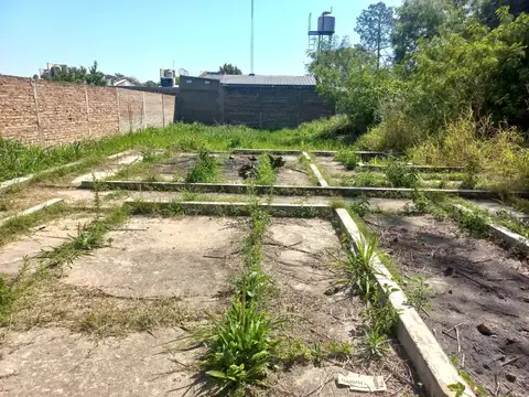 Calle 121 800