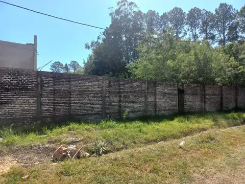 Calle 121 800