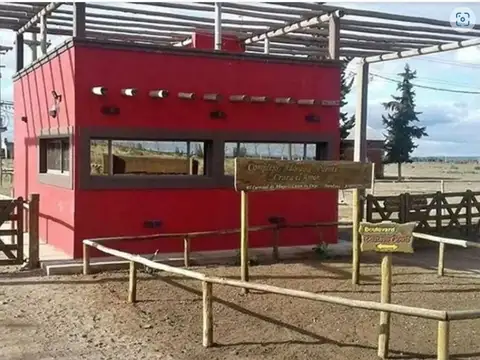 Complejo Adorable Puente, Lote 500