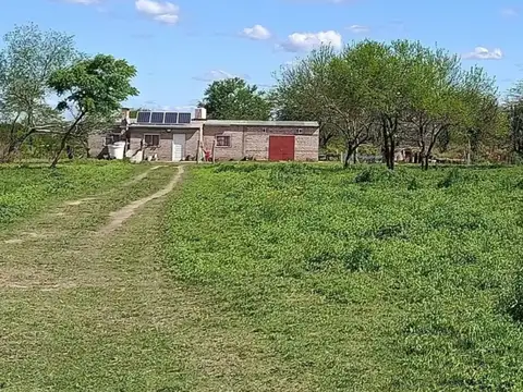 CAMPO GANADERO - ALEJANDRA, DPTO. SAN JAVIER