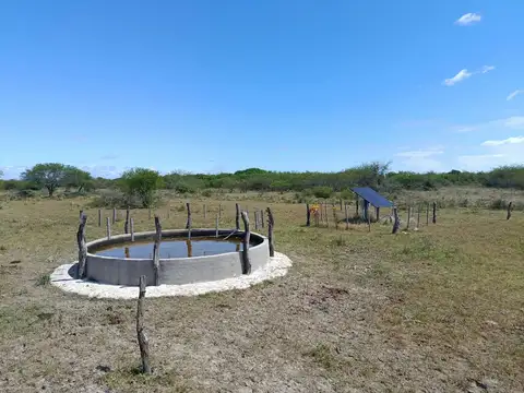 CAMPO GANADERO - ALEJANDRA, DPTO. SAN JAVIER