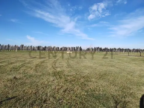 Terreno en Venta de 830,0 m2