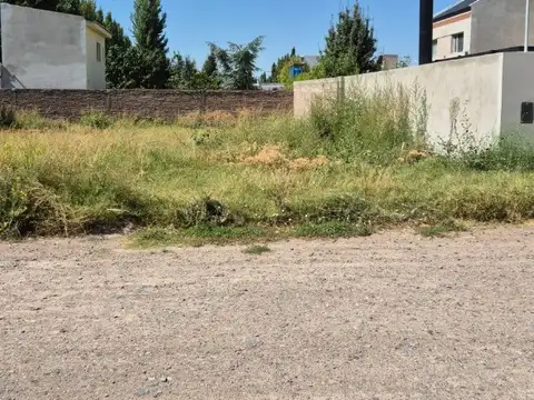 Terreno en Venta en Centenario, USD 38.000