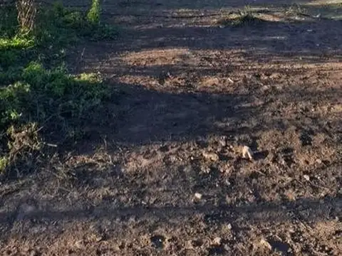Terreno en Venta de 2000,0 m2