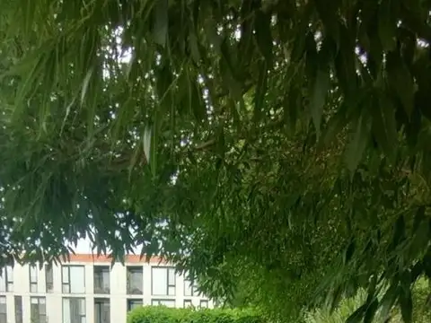 Departamento en Venta con 1 cochera