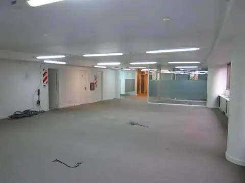 Encarnación Ezcurra 300