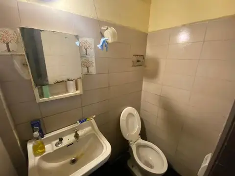 Segurola 239