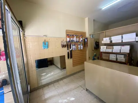 Segurola 239