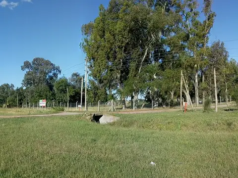 Campo en Venta de 3,60  ha