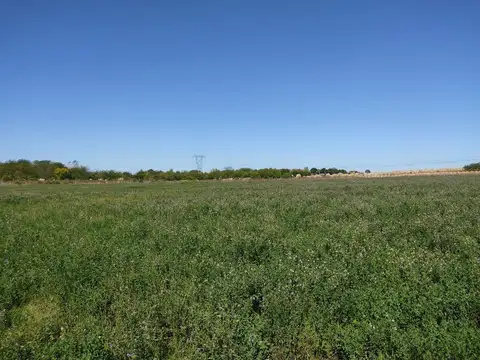 Venta Campo casi 4 hás, a 1 cuadra de Ruta 75