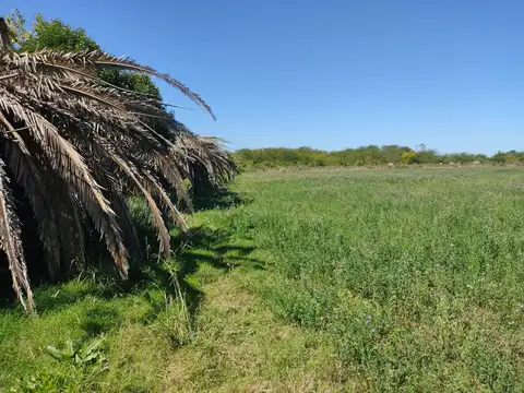 Venta Campo casi 4 hás, a 1 cuadra de Ruta 75