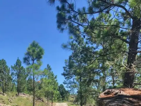 VENTA TERRENO EN SAN CLEMENTE COMPLEJO LOMAPIEDRA