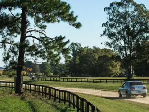 Terreno en Venta de 18017,0 m2