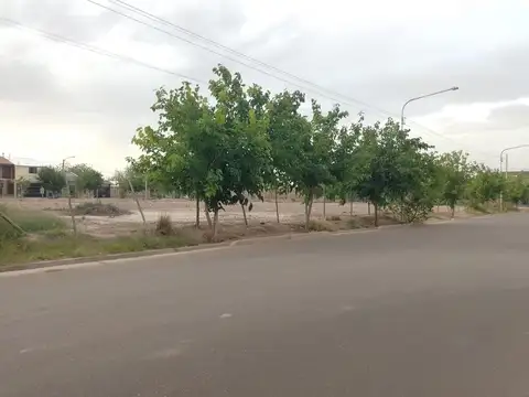 Terreno en Venta en Villa Nueva De Guaymallen, USD 9.500