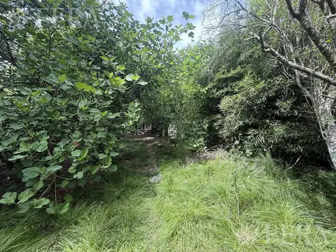 Venta de lote de 2090 m2 en Barrio Parque Las Acacias