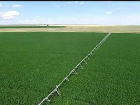 Campo - La Paz