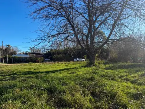 Terreno Lote  en Venta en Barrio Parque Los Pinos, Exaltación de la Cruz, G.B.A. Zona Norte