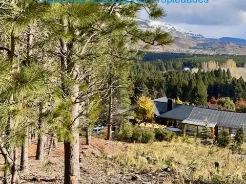 Terreno en Venta en San Martin De Los Andes, USD 118.000