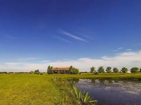 Terreno en Venta de 2000,0 m2