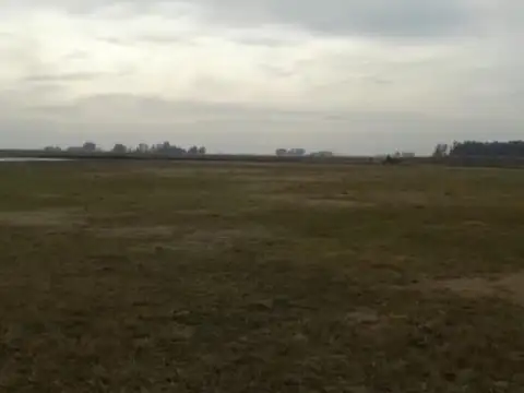 Campo  ganadero : Saladillo ,57,37 hectáreas