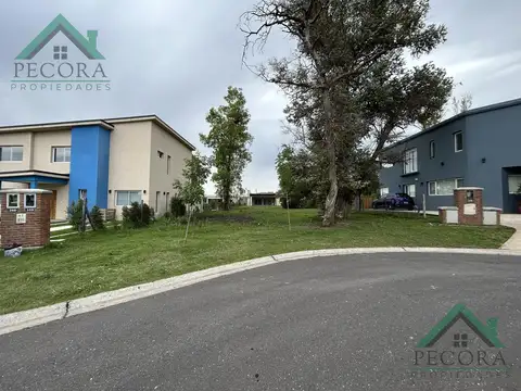 Terreno en Venta en Pilar Del Este - Santa Elisa, USD 60.000