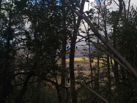 Lote en Venta en Alihuen Alto, San Martin De Los Andes