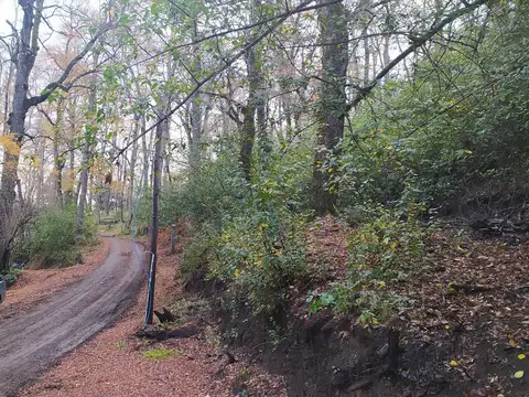 Terreno en Venta en Alihuen Alto, USD 85.000