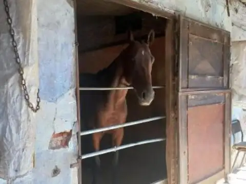 Terreno en Venta en Ensenada, USD 26.000