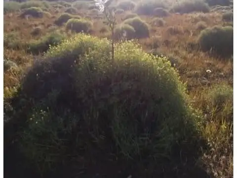 Terreno en Venta en Huechulafquen, USD 28.000