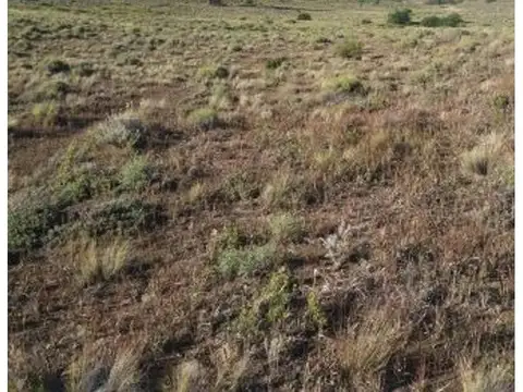 Lote 2000 m2 en Lago Huechulafquen - Junín de los Andes