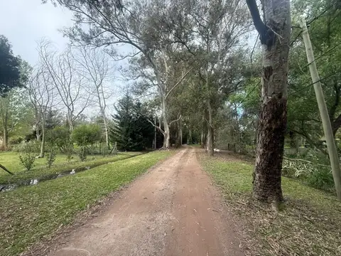 Terreno en Venta de 6000,0 m2