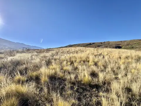 Terreno en Venta en Tupungato, USD 140.000