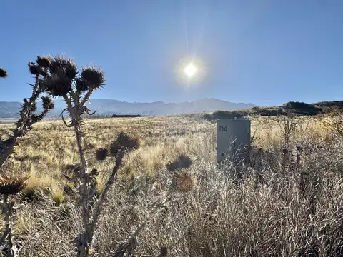Terreno en Venta de 5882,0 m2