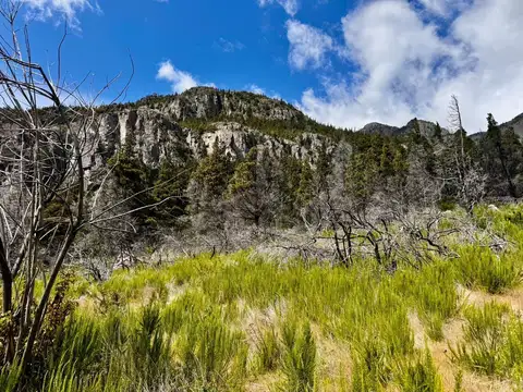 Terreno en Venta 216  mts Frente