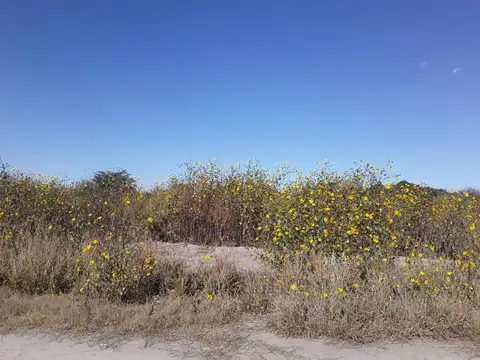 Terreno en Venta en Cerrillos, USD 220.000