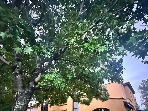 Casa en Alquiler Temporal en Barrancas de San José, USD 3.500