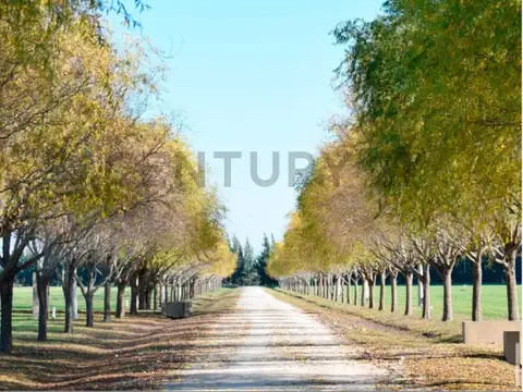 Terreno en Venta en Coronel Brandsen, USD 25.000
