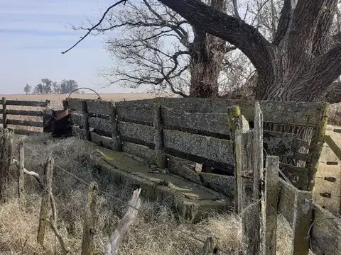 campo  ganadero 127 has Gral Villegas Cañada Seca