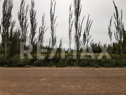 14,5 HECTAREAS CHACRA SARGENTO VIDAL